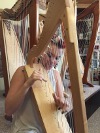 Sharpsicle harp
