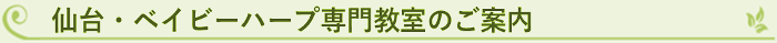 仙台・ベイビーハープ専門教室