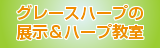 グレースハープの展示＆ハープ教室