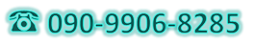 090-9906-8285