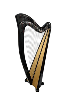 GG36ブラック/シャイン