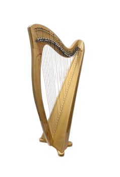 GG36メープル/シャイン