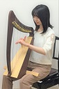 フレックスハープ20/アンティークブラウン/アクイラ弦