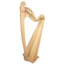 Teifi Harp EOS36【Ash】