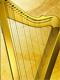 フルシクル™ ハープ26/Gold(予約受付中!)