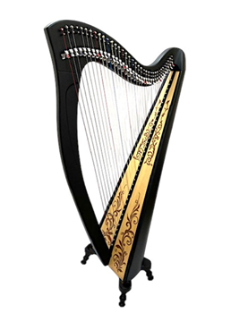 GG36ブラック/アラベスク/ショートレッグ