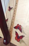 Teifi Harp SiffSaff34 Red Butterfly<蝶々>