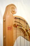 Teifi Harp EOS36【Beech】