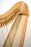 Teifi Harp EOS36【Beech】