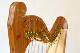 Teifi Harp EOS36【Cherry】