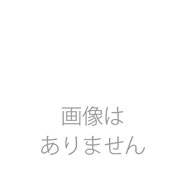 ハーフトーンリング~規格外商品~No.2412