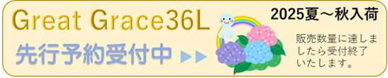 GG36入荷しました