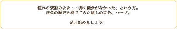 憧れの楽器のまま・・弾く機会がなかった、という方。悠久の歴史を奏でてきた癒しの音色、ハープ。是非始めましょう。